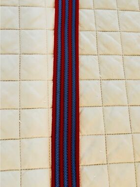 Vineyard Vines Red and Blue Striped Kids Belt